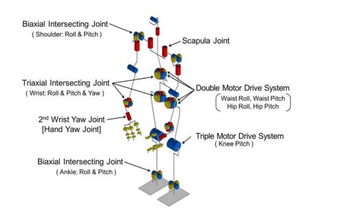 HRP-5P DoF Diagram